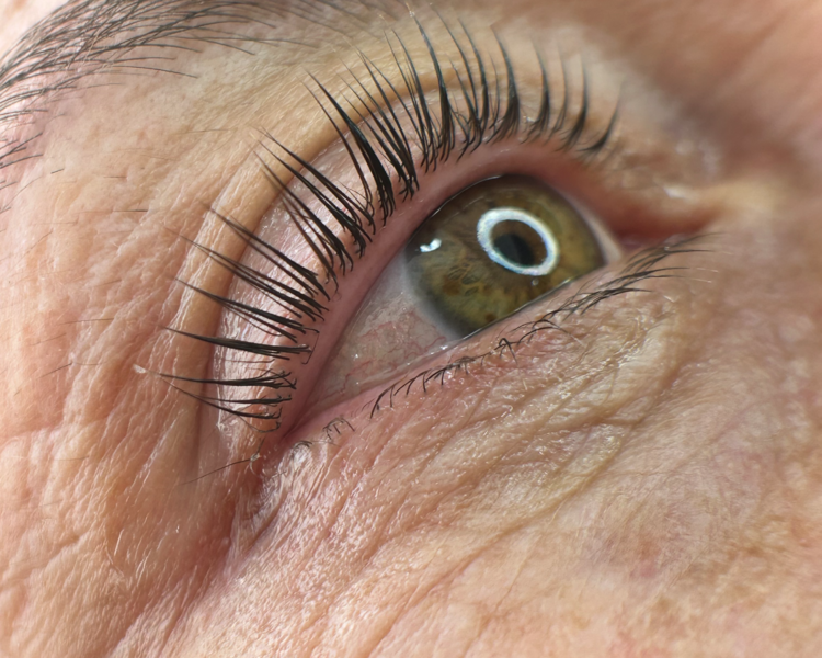 Lifting de pestañas más diseño de cejas 