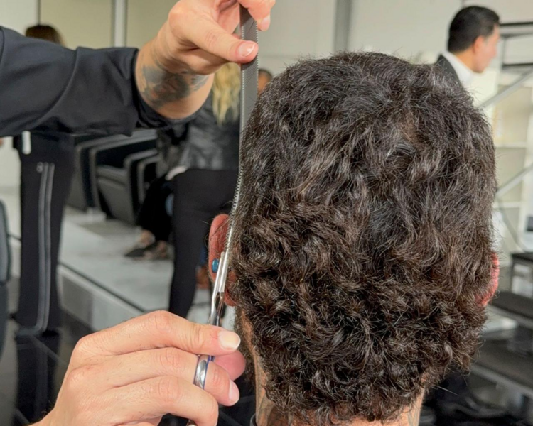 Corte de Caballero 