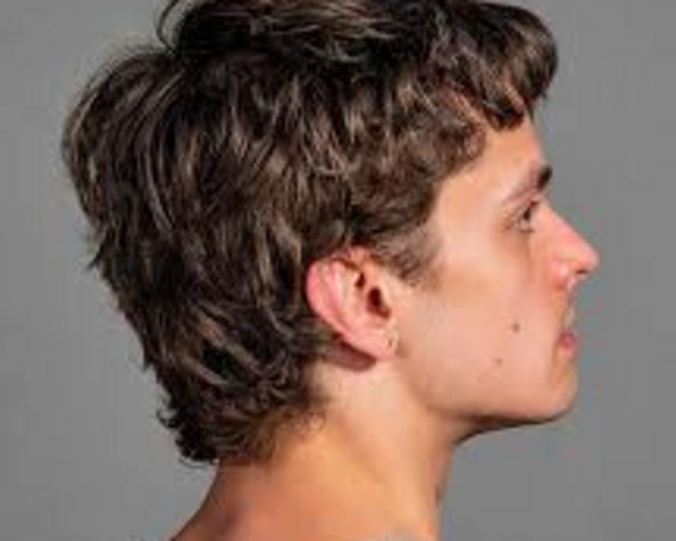 Cortes exclusivamente a Tijera (Modcut, wolfcut & Shaggycut)