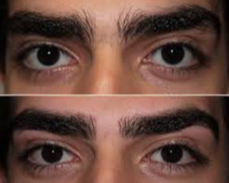 Delineado, limpieza o raya de Cejas 