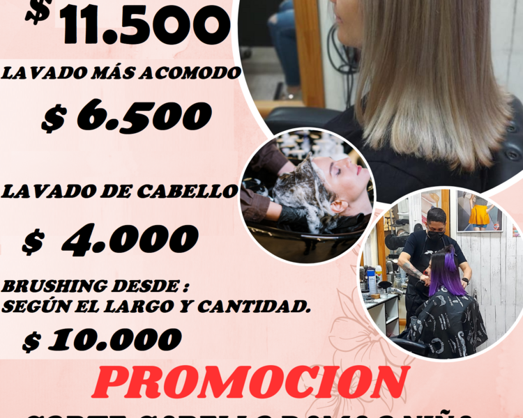 LAVADO CABELLO Y ACOMODO DAMA