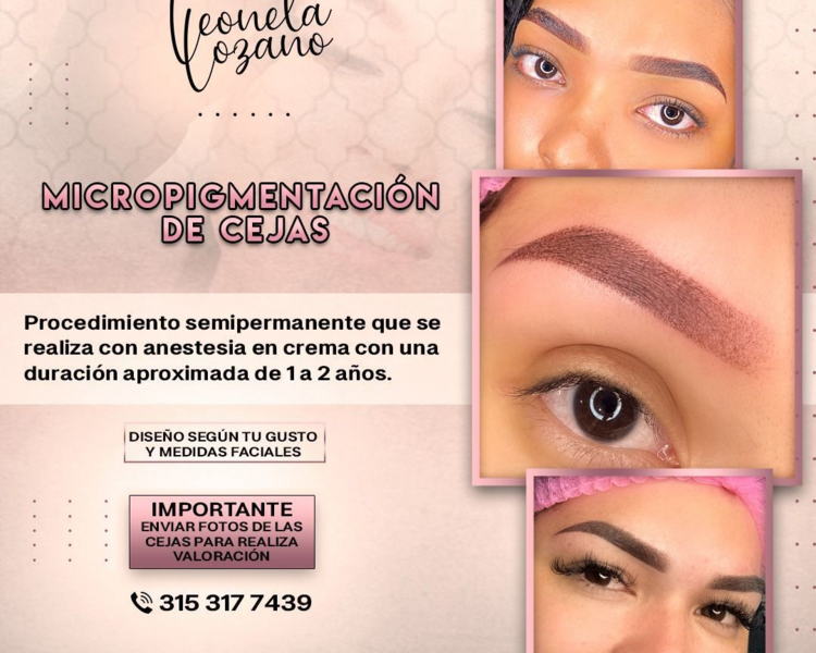 Micropigmentacion De Cejas