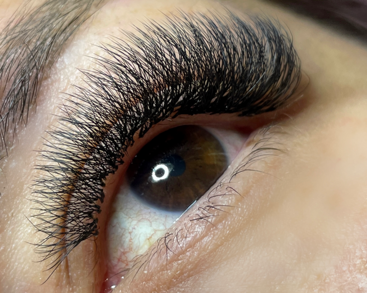 Extensiones de pestañas Volumen Egipcio full 