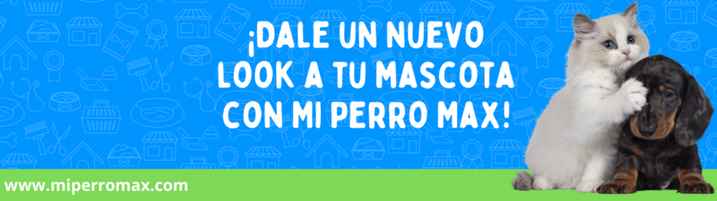 Mi Perro Max Linda Vista  banner
