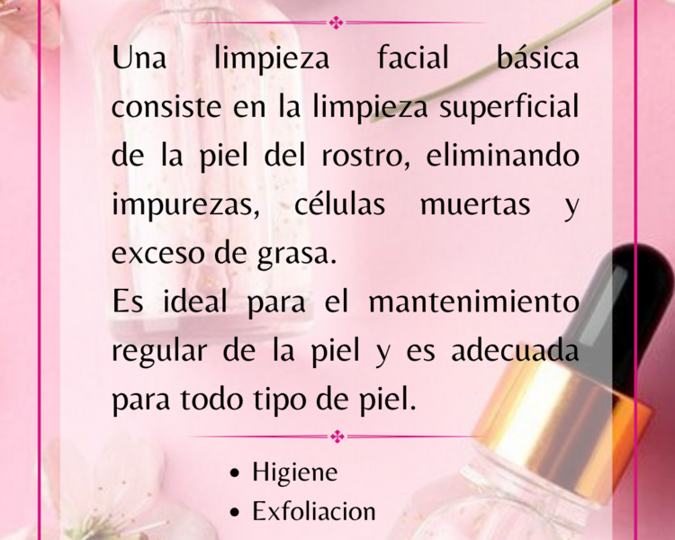 Limpieza Facial Básica 