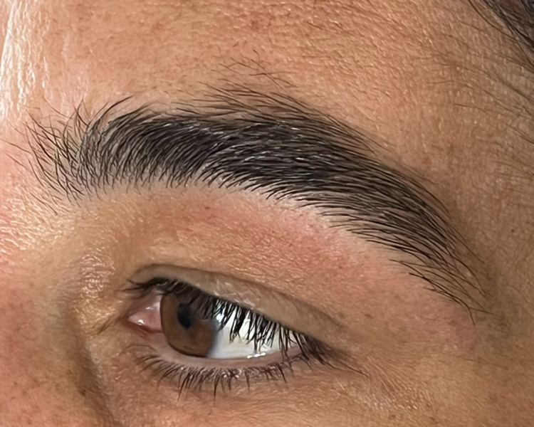 Perilado De Cejas