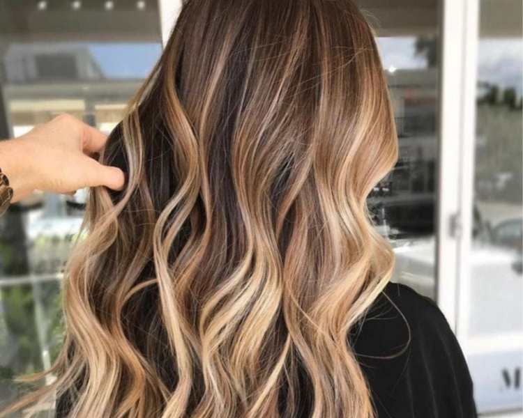 Balayage (medidas: C,M,L,XL) desde: