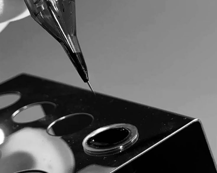 DIAGNÓSTICO MICROPIGMETACIÓN