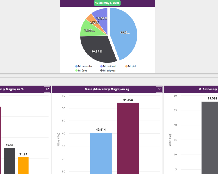 Evaluacion antropometrica ISAK II ( perfil completo) * No incluye plan de alimentación