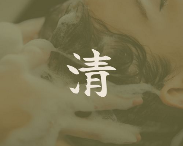 Head Spa Detox Capilar