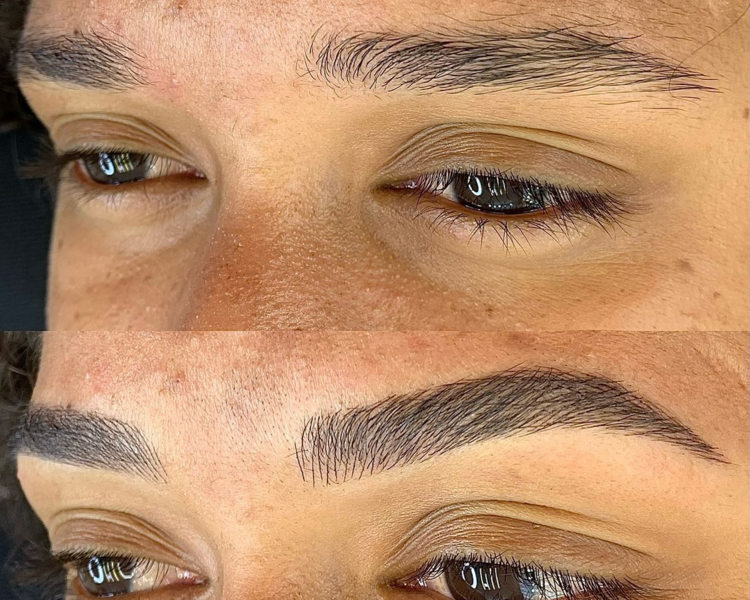 Cejas Hibridas 