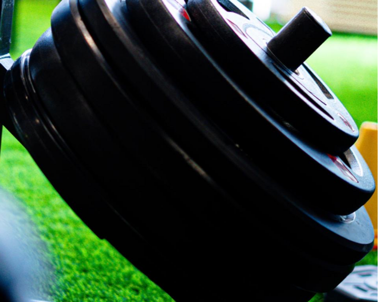 PLAN INDIVIDUAL BÁSICO O LIGHT