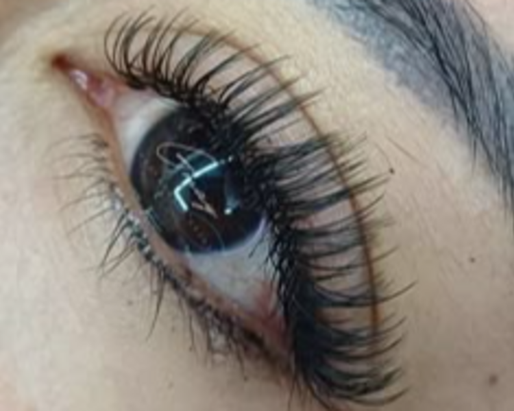 Montaje de Pestañas Pelo a Pelo (Efecto clasicas o pestañina)