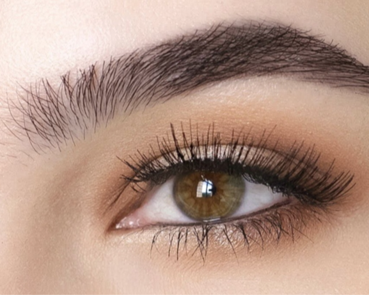 Diseño con Perfilado de Cejas + Tintura + Bozo