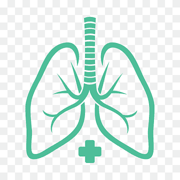 Dra. Doris Piña Ubeda 