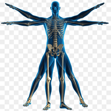 Kinesiólogo Esteban Rodríguez García 