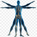 Kinesiólogo Esteban Rodríguez García  photo