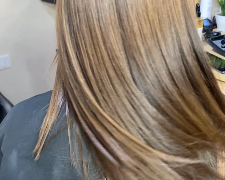 CELULAS   MADRES " LISS EXPERT"   desde