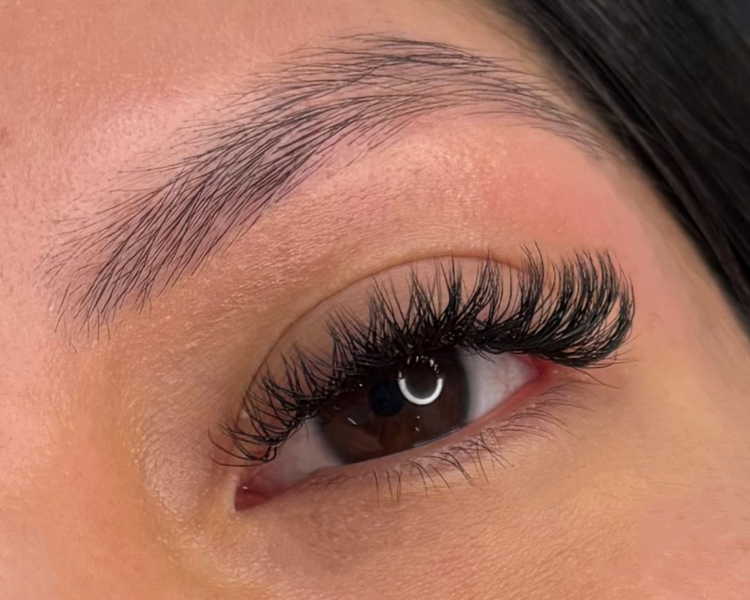 VOLUMEN BRASILERO NUEVO