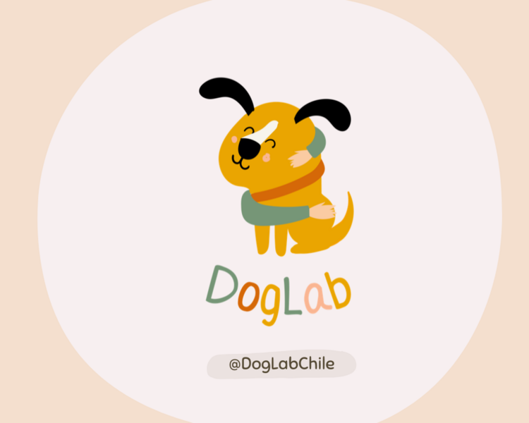 Toma de Muestra + Hemograma y Perfil Bioquímico