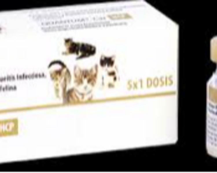 VACUNA TRIPLE FELINA 