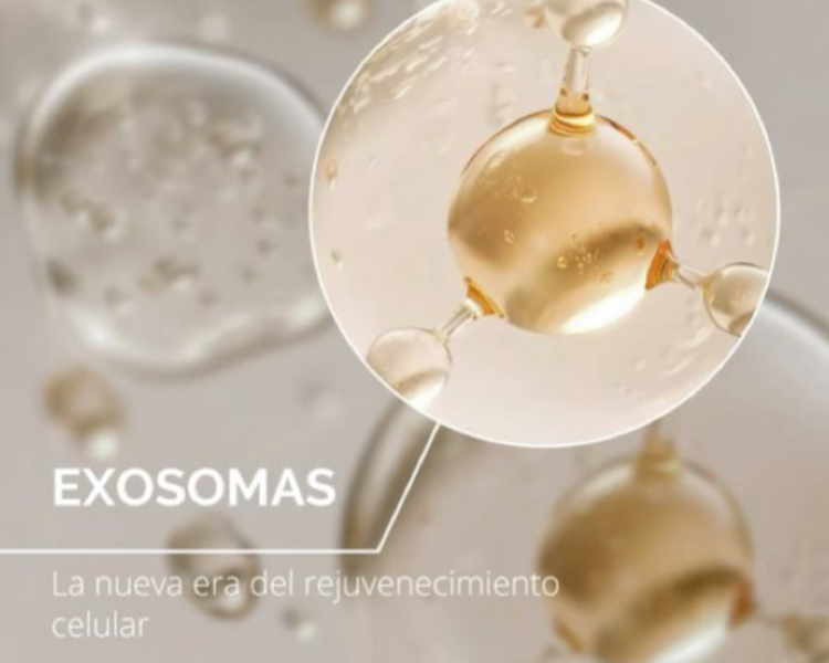Exosomas 