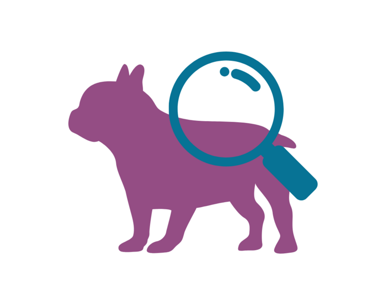 Evaluación Fisiátrica