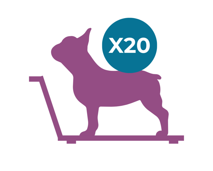 Paquete de 20 Sesiones Fisiátricas