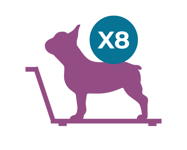 Paquete de 8 sesiones Fisiátricas