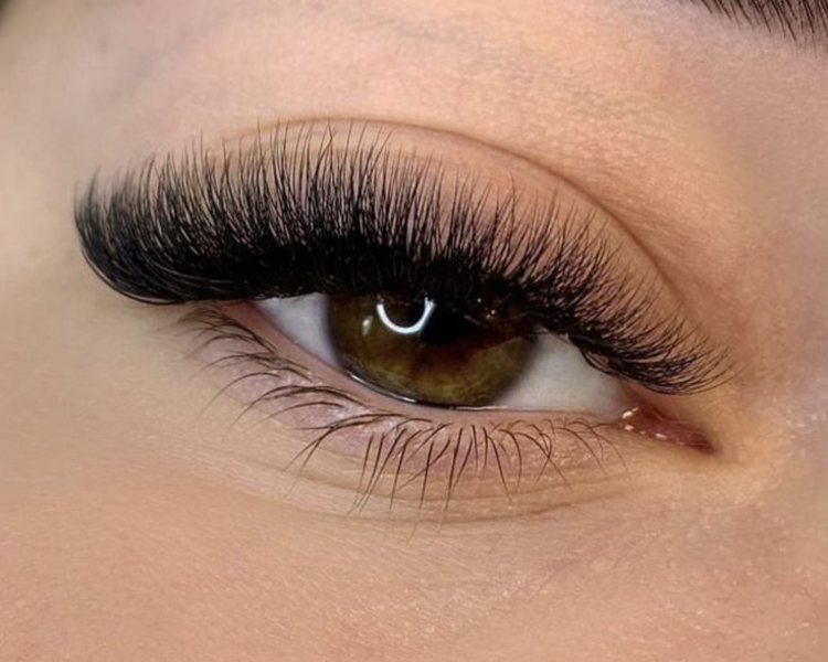 Extensiones tec. vol w5