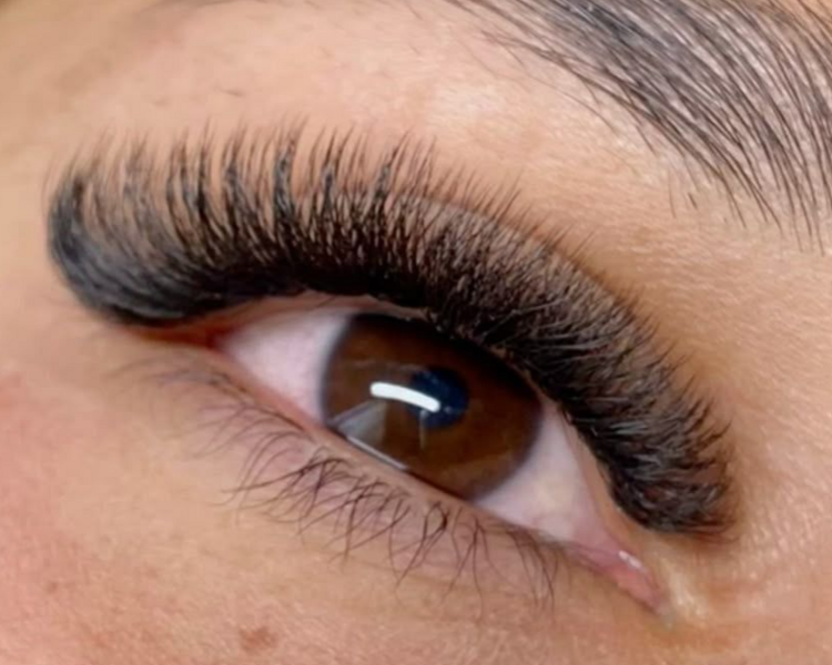 Extensiones tec. vol w4