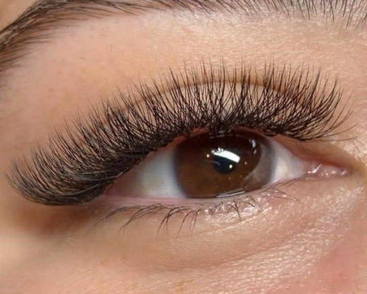 Extensiones tec. vol w3 