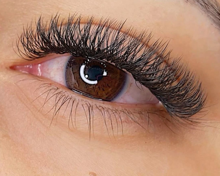 Extensiones tec. vol y / brasileras