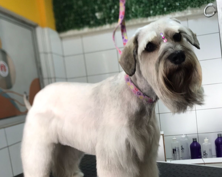 CORTE  RAZAS 5KG - 9KG