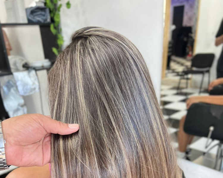 Tecnica de mecha o visos a patir de 