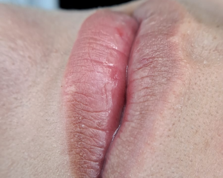 Micropigmentaición de Labios - Técnica Plump Lips