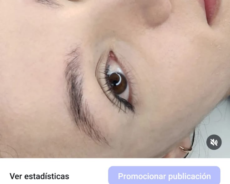 Micropigmentación de cejas - Técnica Natural Shadow Brows