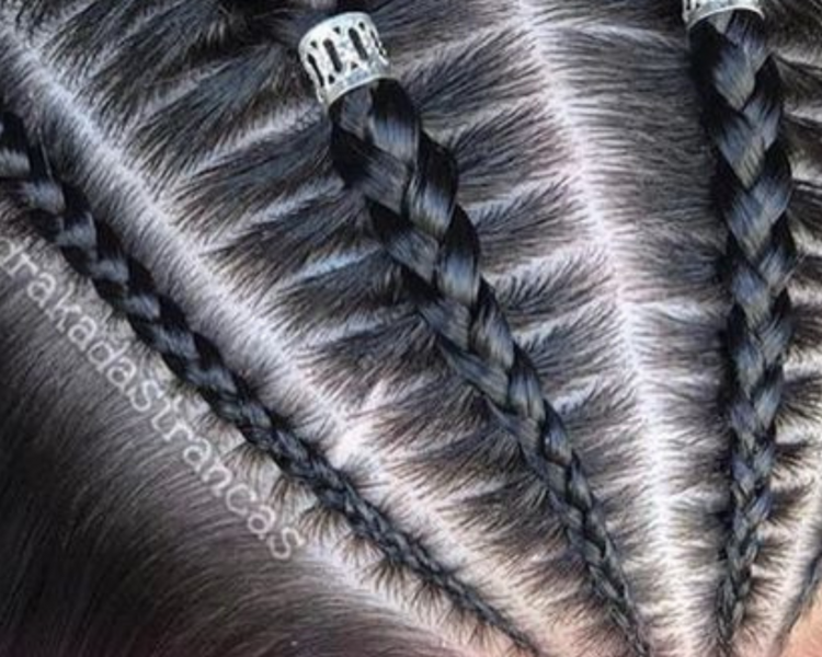 Peinado con dos trenzas