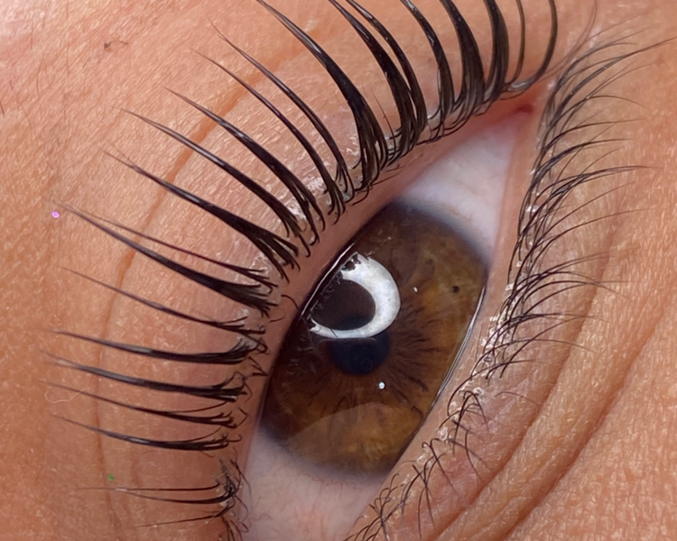 Lash Lifting GOLD ✨ (Full Hidratación y Nutrición)