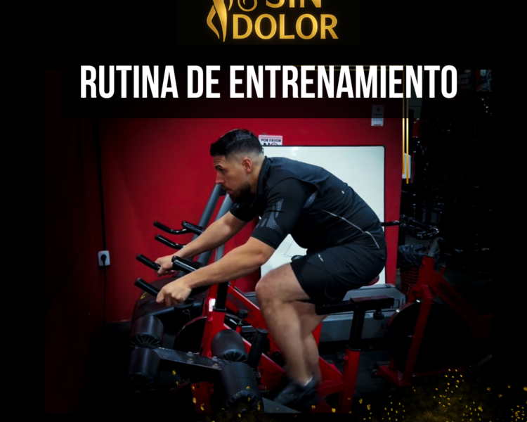 🏋️ Rutinas de Entrenamiento Físico