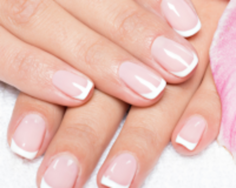 Constructor con Francés