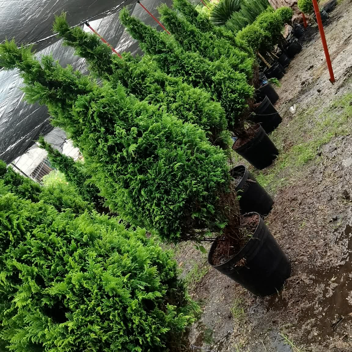 Equipo de Instalacion