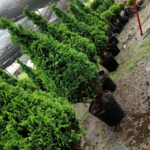 Equipo de Instalacion photo