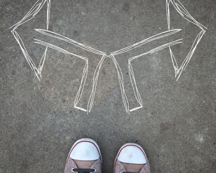 Orientación vocacional