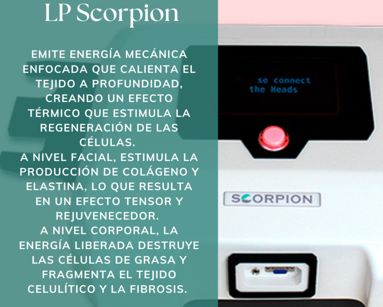 LP Abdomen + Flancos