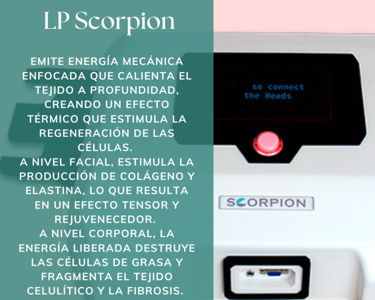 LP Espalda