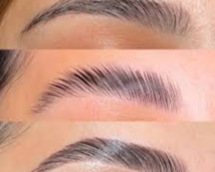 LAMINADO + NUTRICION CEJAS 