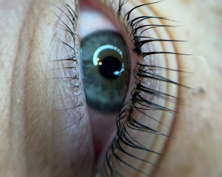 Lifting con nutricion y tinte 