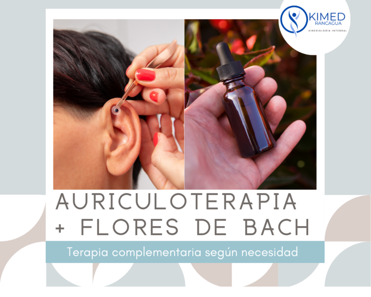 Auriculoterapia + Flores de Bach 