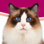 APLICACION SOLENSIA photo